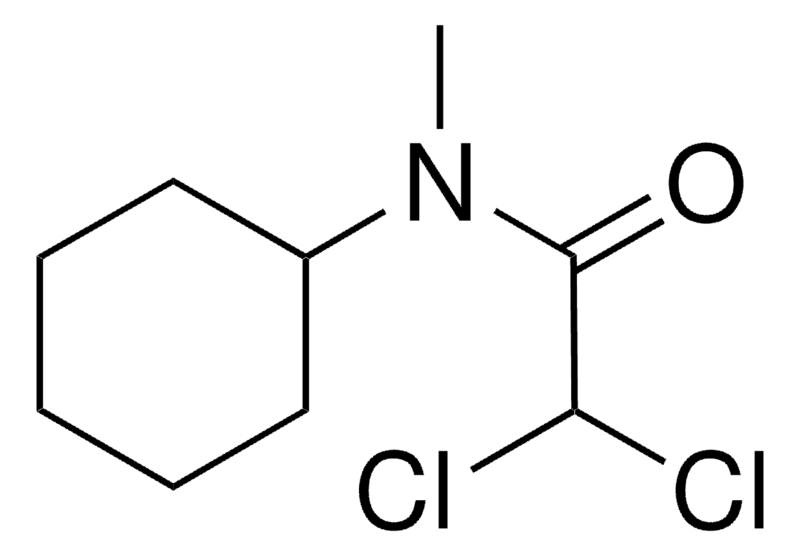 Merck N-CYCLOHEXYL-2,2-DICHLORO-N-MET