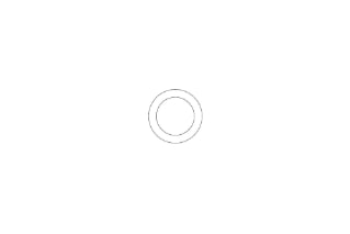 Waters O-Ring, 2/pk