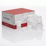 Thermo Fisher Scientific PureLink Quick Gel Extraction and PCR Purification Combo Kit