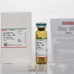 Himedia Amoxicillin
