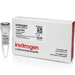 Thermo Fisher Scientific Yeast RNA (5 mg/mL)