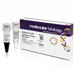 Thermo Fisher Scientific GeneRuler Low Range DNA Ladder, 50 ug