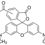 Merck 5(6)-CARBOXYTETRAMETHYLRHODAMINE BIOREA&