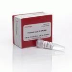 Thermo Fisher Scientific Human Cot-1 DNA