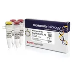 Thermo Fisher Scientific Eco32I (EcoRV), HC (50 U/μL)