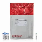 Thermo Fisher Scientific LIVE/DEAD Fixable Blue Dead Cell Stain Kit, for UV excitation, 200 Assays