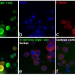 Thermo Fisher Scientific Goat anti-Human IgG F(ab`)2 Secondary Antibody