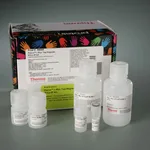 Thermo Fisher Scientific Pierce c-Myc-Tag Magnetic IP/Co-IP Kit