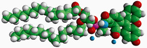 Merck 18:1 PE CF