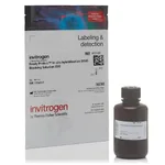 Thermo Fisher Scientific ReadyProbes In Situ Hybridization (ISH) Blocking Solution (5X)
