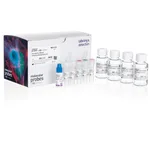 Thermo Fisher Scientific Pluripotent Stem Cell Immunocytochemistry Kit (OCT4, SSEA4)
