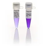 Thermo Fisher Scientific MassRuler DNA Ladder Mix, ready-to-use