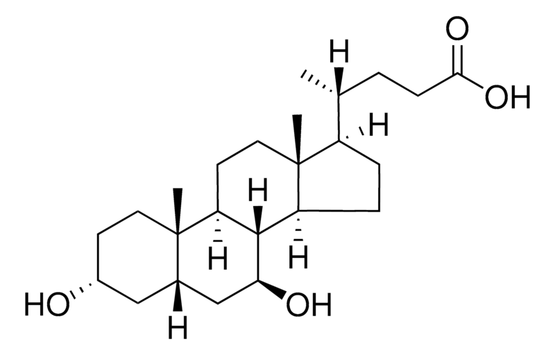 Merck Ursodeoxycholic acid