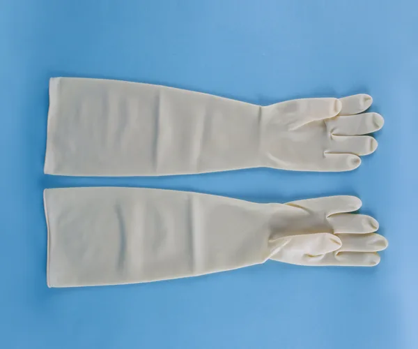 Latex Glove for Glove Box 글러브 박스용 라텍스 장갑
