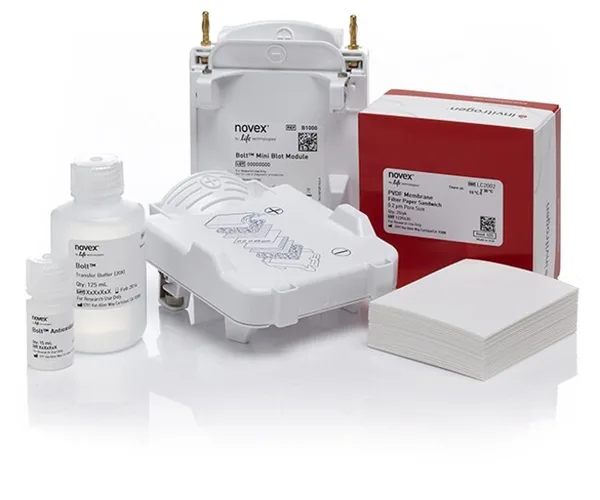 Thermo Fisher Scientific Bolt Western Pack B (PVDF)