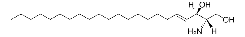 Merck Sphingosine (d22:1)