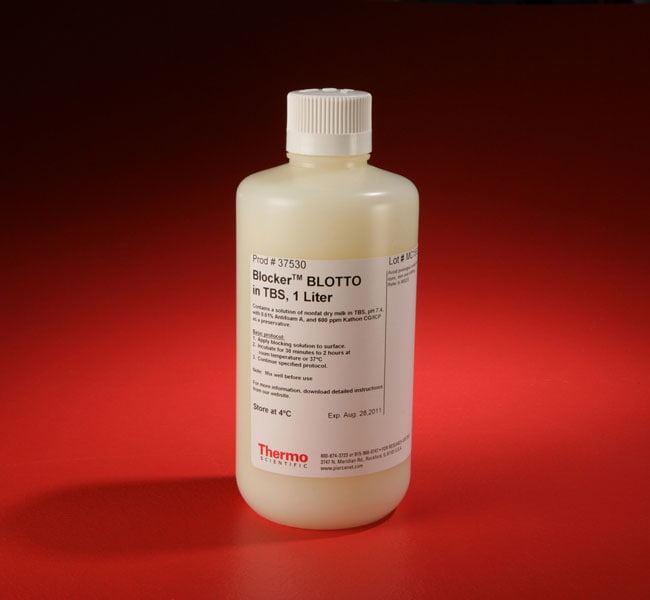 Thermo Fisher Scientific Blocker BLOTTO in TBS