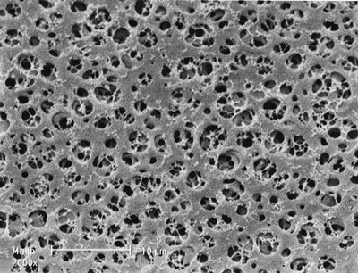 Cellulose Acetate Membrane Filters