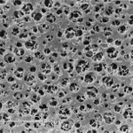 Cellulose Acetate Membrane Filters