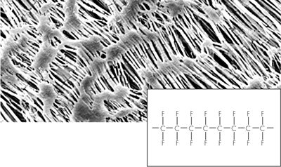 Hydrophobic PTFE Membrane Filters