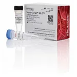 Thermo Fisher Scientific SuperScript VILO cDNA Synthesis Kit, 50 reactions