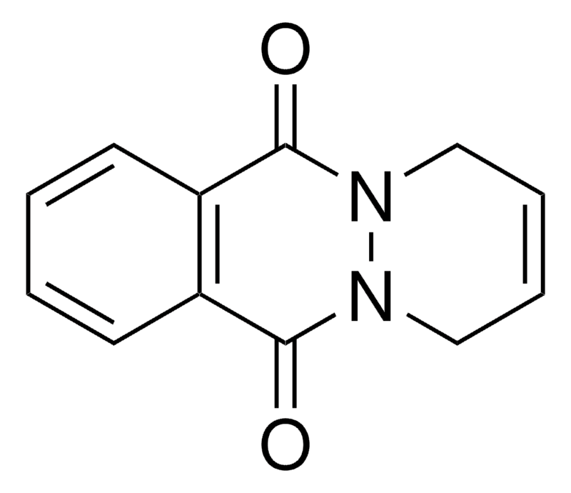 Merck 1,4-DIHYDRO-PYRIDAZINO(1,2-B)PHT-