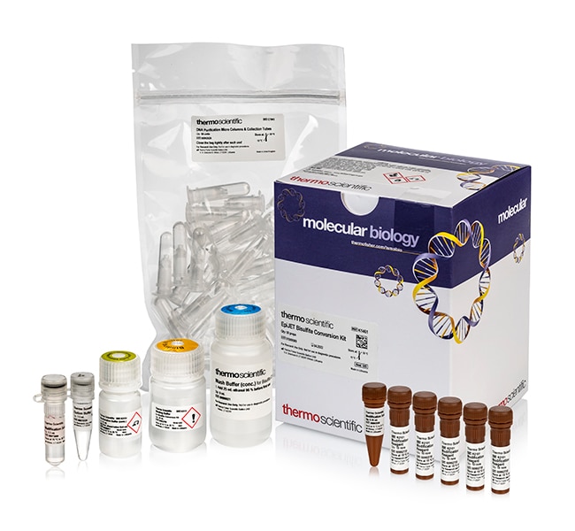 Thermo Fisher Scientific EpiJET Bisulfite Conversion Kit