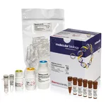 Thermo Fisher Scientific EpiJET Bisulfite Conversion Kit