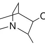 Merck 2-METHYL-3-QUINUCLIDINOL-