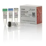 Thermo Fisher Scientific Platinum Taq DNA Polymerase, 120 reactions