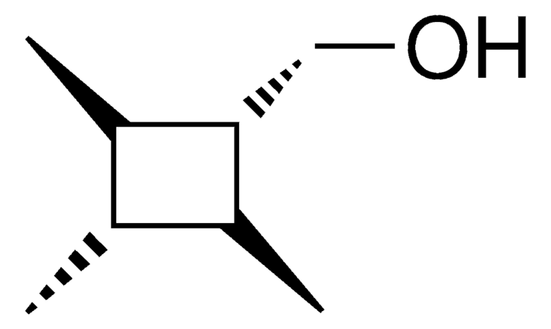 Merck (2,3,4-TRIMETHYL-CYCLOBUTYL)-M - 10 MG&