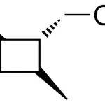 Merck (2,3,4-TRIMETHYL-CYCLOBUTYL)-M - 10 MG&