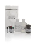 Thermo Fisher Scientific eBioscience Essential Human Treg Phenotyping Panel & Staining Buffers