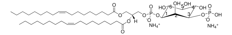 Merck 18:1 PI(3)P
