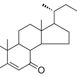 Merck 7-OXOCHOLESTA-3,5-DIEN-3-YL ME - 1 MG&
