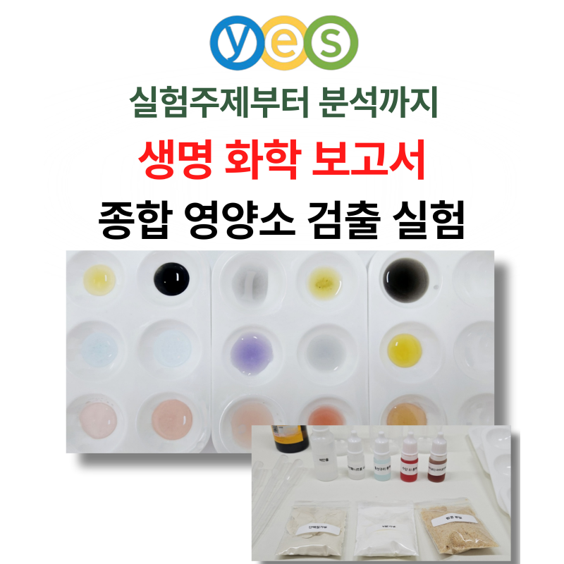 YES C6 종합 영양소 검출실험