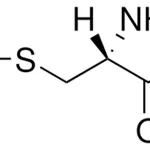 Merck L-Cystine dimethyl ester dihydrochloride