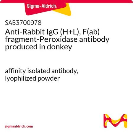 Merck Anti-Rabbit IgG (H+L), F(ab) fragment-Peroxidase antibody produced in donkey