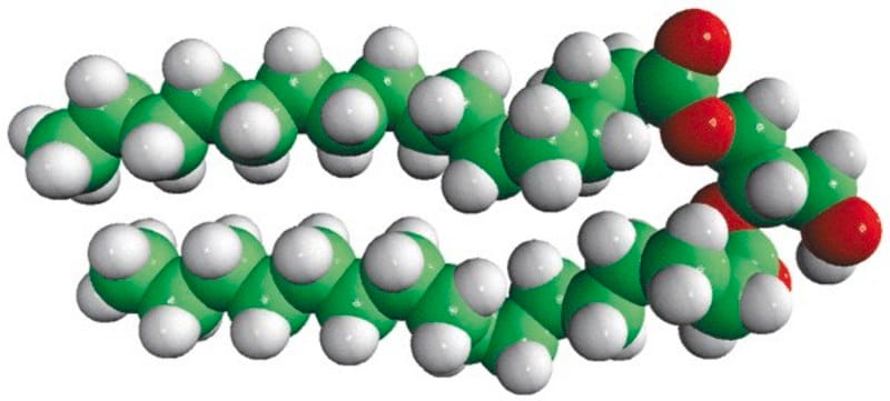 Merck 16:0 DG