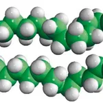 Merck 16:0 DG