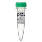 Thermo Fisher Scientific AAV-MAX pAAV-CMV-emGFP Vector