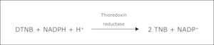 Merck THIOREDOXIN REDUCTASE FROM RAT LIVER&