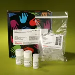 Thermo Fisher Scientific Pierce Glycoprotein Isolation Kit, WGA