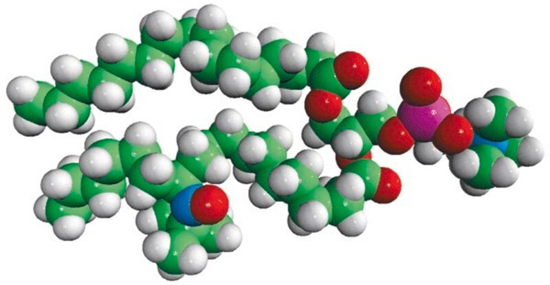 Merck 16:0-12 Doxyl PC