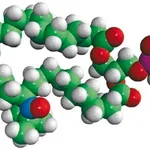 Merck 16:0-12 Doxyl PC