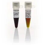 Thermo Fisher Scientific O`RangeRuler 200 bp DNA Ladder, ready-to-use
