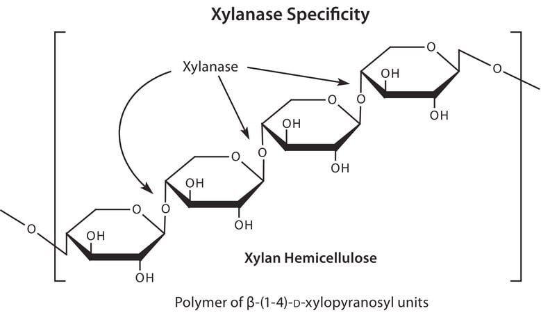 Merck Xylanase from Trichoderma viride