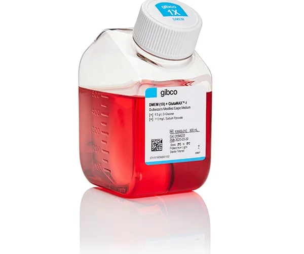 Thermo Fisher Scientific DMEM, high glucose, GlutaMAX Supplement, pyruvate, 500 mL