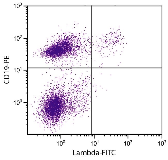 Thermo Fisher Scientific Rat anti-Mouse Lambda Light Chain Secondary Antibody, FITC