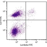 Thermo Fisher Scientific Rat anti-Mouse Lambda Light Chain Secondary Antibody, FITC